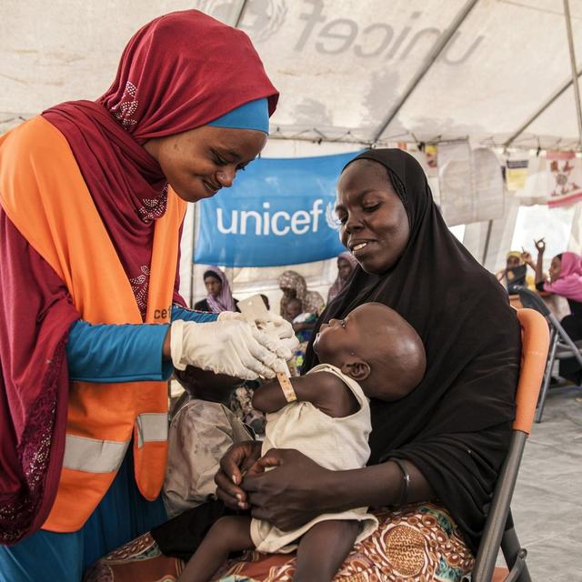 L'aide humanitaire peine à intervenir dans l'Etat de Borno. [EPA / UNICEF - Mark Naftalin]