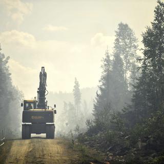 Forêt en Suède. [EPA/Keystone - Erik Simander]