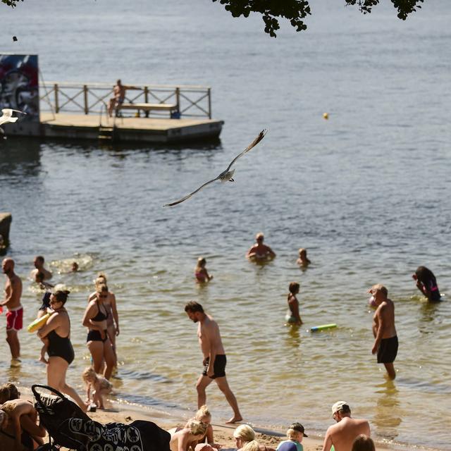 Des Suédois se baignent à Stockholm durant une chaude journée. [Keystone - Hossein Salmanzadeh]