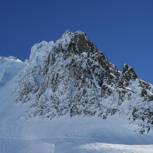 Vue sur l'Aiguille du Belvédère, le point culminant des Aiguilles Rouges (photo d'illustration) dans le massif du Mont-Blanc. [AFP - Christian Martelet]