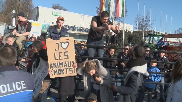 La tension était vive entre les antispécistes et les agriculteurs samedi, au salon lausannois Swiss Expo. [RTS - Isabelle Fiaux]