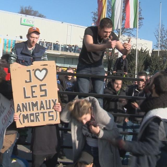 La tension était vive entre les antispécistes et les agriculteurs samedi, au salon lausannois Swiss Expo. [RTS - Isabelle Fiaux]