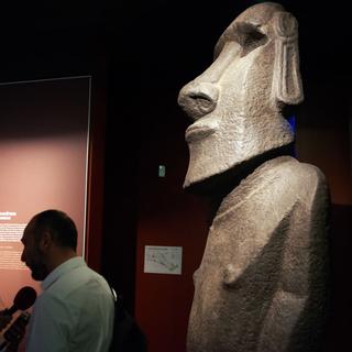 Une statue Moaï exposée au Musée d'histoire Naturelle de Toulouse. [AFP - Alain Pitton]