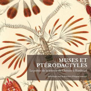 Couverture du livre "Muses et Ptérodactyles" écrit par Hugues Marchal. [Editions du Seuil - DR]