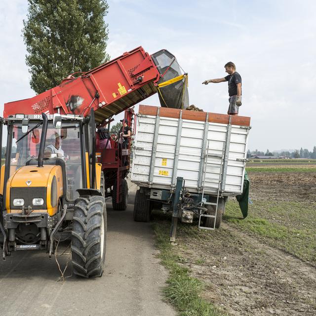 L'initiative exige que la Suisse adopte des normes plus strictes dans la production de denrées alimentaires. [Keystone - Gaëtan Bally]