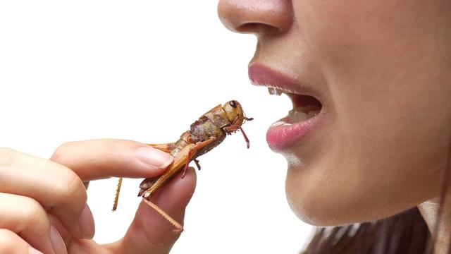 Manger des insectes inspire le dégoût sous nos latitudes.
weerapat1003
Fotolia [weerapat1003]