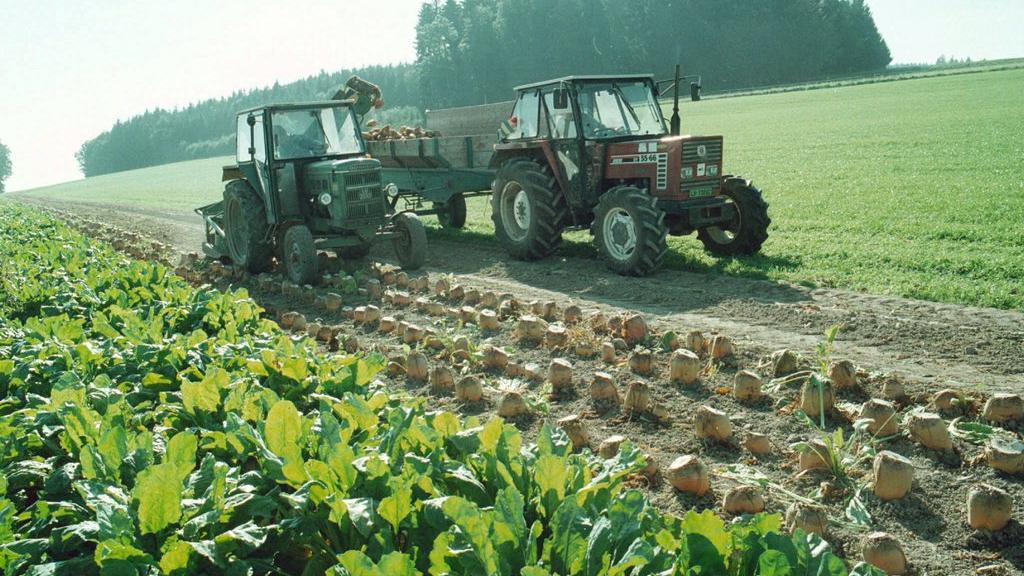 Le secteur agroalimentaire est inquiet notamment pour les emplois en Suisse. [Fritz Grunder]