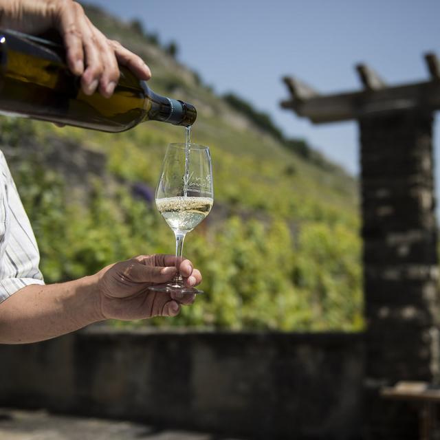 Un vin blanc servi dans le vignoble vaudois. [Keystone - Jean-Christophe Bott]