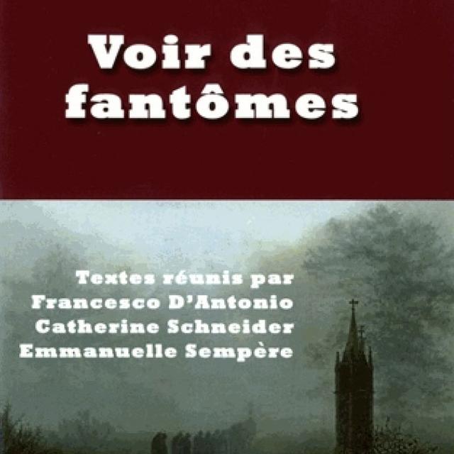 Couverture du livre "Voir des fantômes", co-dirigé par Emmanuelle Sempere. [Editions Kimé - DR]