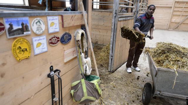 30 réfugiés ou migrants admis provisoirement ont participé au projet pilote. [Keystone - Laurent Gilliéron]