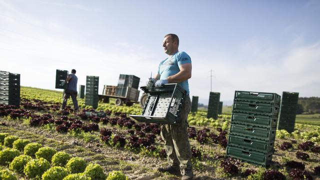 En Suisse, seules 13% des surfaces agricoles sont des surfaces de production bio. [Keystone - Gaëtan Bally]