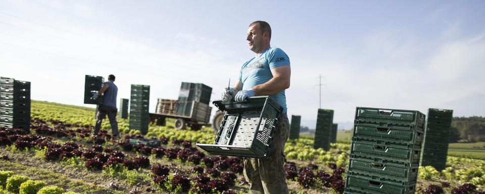 En Suisse, seules 13% des surfaces agricoles sont des surfaces de production bio. [Keystone - Gaëtan Bally]