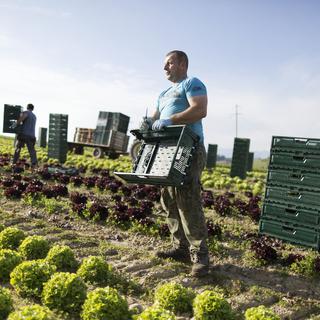 En Suisse, seules 13% des surfaces agricoles sont des surfaces de production bio. [Keystone - Gaëtan Bally]
