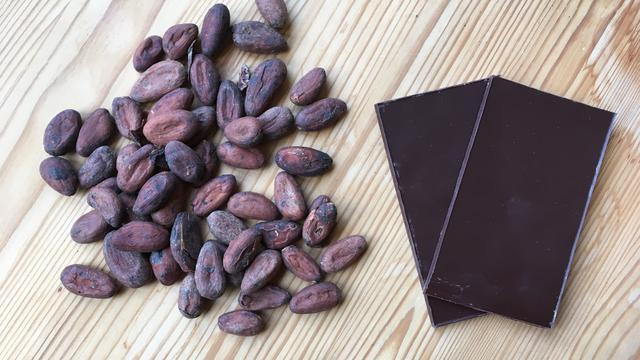 Orfève est l'une des rares manufactures suisses de cacao et chocolat. [RTS - Jean de Preux]