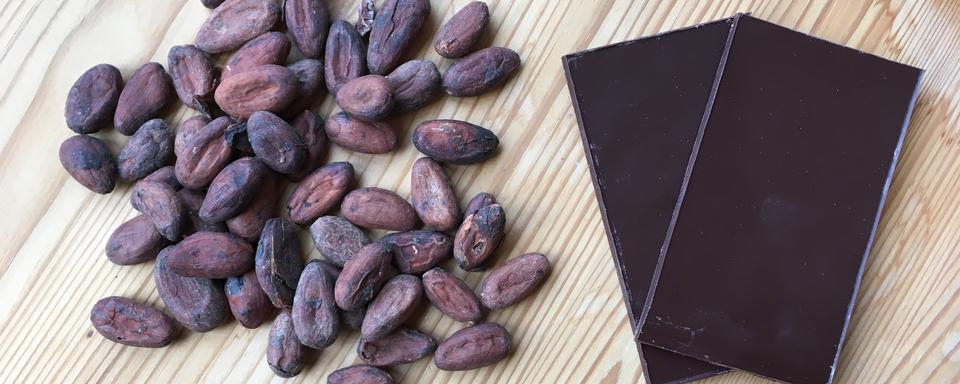 Orfève est l'une des rares manufactures suisses de cacao et chocolat. [RTS - Jean de Preux]