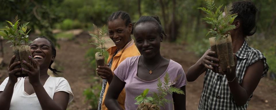 En Ethiopie, l'un des nombreux projets de reforestation soutenu par le moteur de recherche Ecosia. [Shane Thomas McMillan - Shane Thomas McMillan]