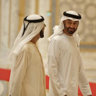 Le prince héritier des Emirats arabes unis Mohammed bin Zayed. [AFP - Karim Sahib]