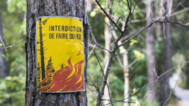 Le risque d'incendie est au degré maximum dans le canton du Valais. [keystone - Dominic Steinmann]