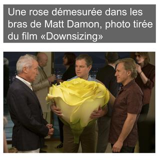Une rose démesurée dans les bras de Matt Damon, photo tirée du film "Downsizing". [Paramount Pictures - George Kraychyk]