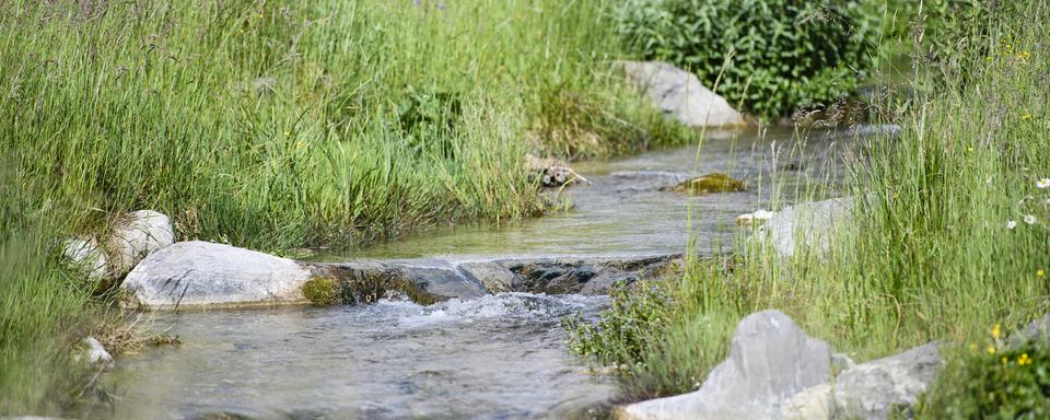 Berne prévoit d'augmenter les taux limite de concentration de pesticides dans l'eau. [keystone - Manuel Lopez]