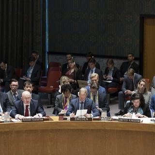 Tout à droite sur l'image, l'ambassadeur de Russie devant le Conseil de sécurité de l'ONU a demandé un vote sur le projet de résolution condamnant les frappes en Syrie. [Keystone - Mary Altaffer]