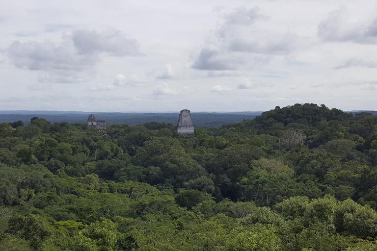 La plupart des anciennes cités Mayas sont recouvertes par la forêt tropicale. [PACUNAM - Luke Auld-Thomas and Marcello A. Canuto]