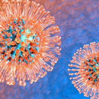 Le virus de l'herpès [Fotolia - © Spectral-Design]