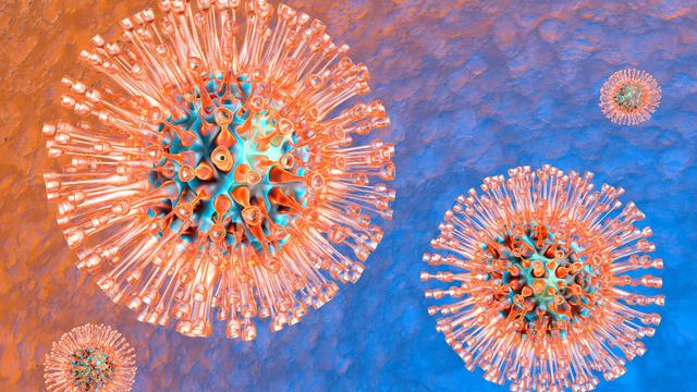 Le virus de l'herpès [Fotolia - © Spectral-Design]