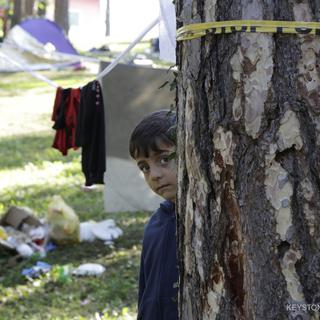 Camp de migrants à Bihac en Bosnie, le 13 août 2018. [AP/Keystone - Amel Emric]