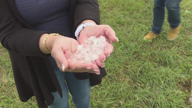 La grêle a littéralement ravagé le vignoble bordelais, ce samedi 26mai 2018.