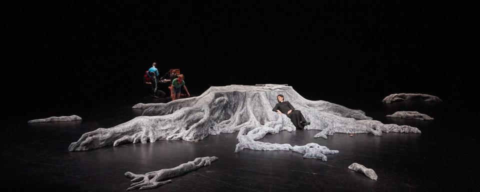 Une photo du spectacle de Jonathan Capdevielle, "À nous deux maintenant". [facebook.com/pg/arsenic.lausanne]