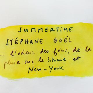 Visuel de l'émission Anticyclone, séquence Summertime sur Stéphane Goël. [RTS - RTS]