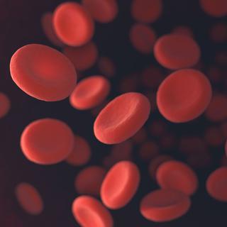 Donner ses cellules souches du sang (image prétexte de cellules sanguines). [Fotolia - ktsdesign]