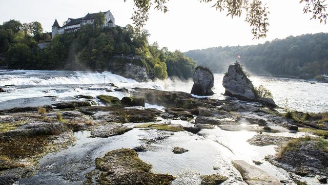 Le débit moyen des chutes du Rhin a été divisé par deux sur septembre. Ici, la situation au 18 octobre 2018. [Keystone - Patrick Huerlimann]