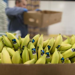 Des bananes issues du commerce équitable. [Keystone - Gaetan Bally]