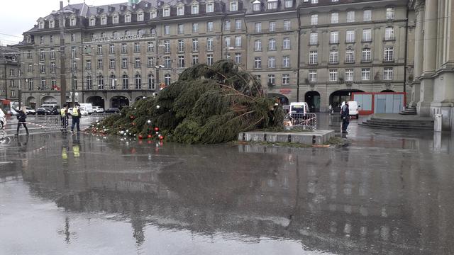 Un sapin de Noël bernois n'a pas résisté à la tempête. [Ludovic Droz]