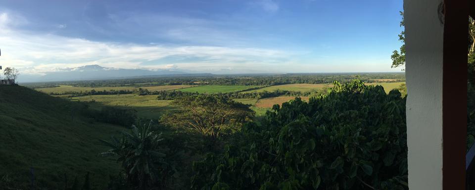 Paysage de la forêt en Colombie. [RTS - Anouk Henry]