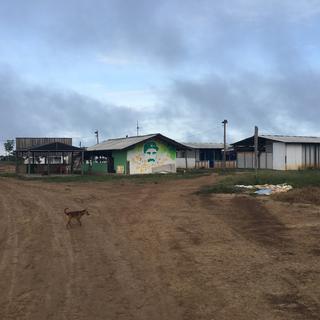 Un campement de réincorporation d'ex-FARC, à Charras, en Colombie. [RTS - Anouk Henry]