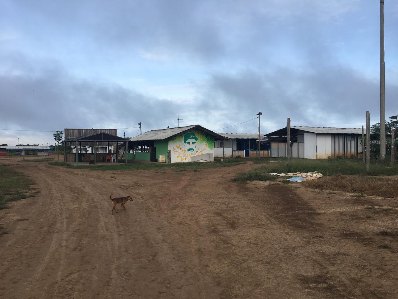 Un campement de réincorporation d'ex-FARC, à Charras, en Colombie. [RTS - Anouk Henry]