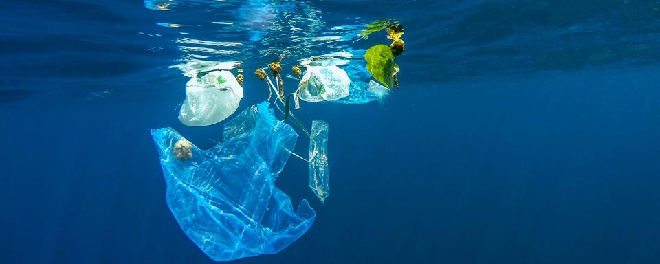 8 millions de tonnes de plastique produites chaque année finissent dans les océans.
aryfahmed
Fotolia [aryfahmed]