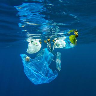 8 millions de tonnes de plastique produites chaque année finissent dans les océans.
aryfahmed
Fotolia [aryfahmed]