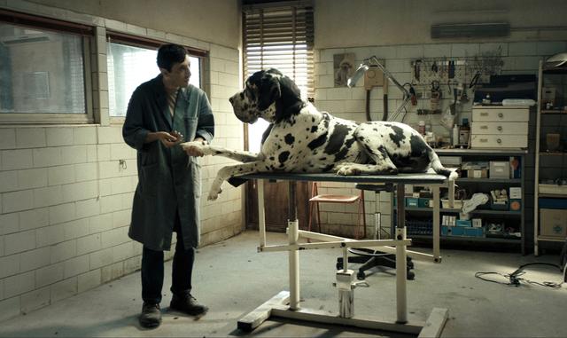 Marcello Fonte dans "Dogman" de Matteo Garrone. [AFP - Archimede / Le Pacte / Rai cinem / Collection ChristopheL]