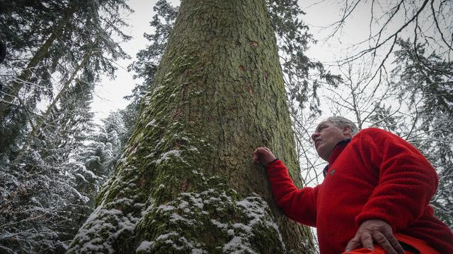 2018. Passe-moi les jumelles L’appel aux arbres