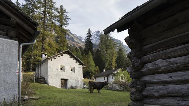 L’agritourisme est un domaine dans lequel les Grisons sont précurseurs. [Keystone - Gaëtan Bally]