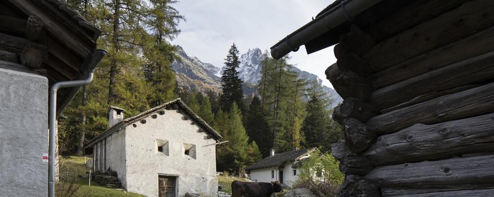 L’agritourisme est un domaine dans lequel les Grisons sont précurseurs. [Keystone - Gaëtan Bally]