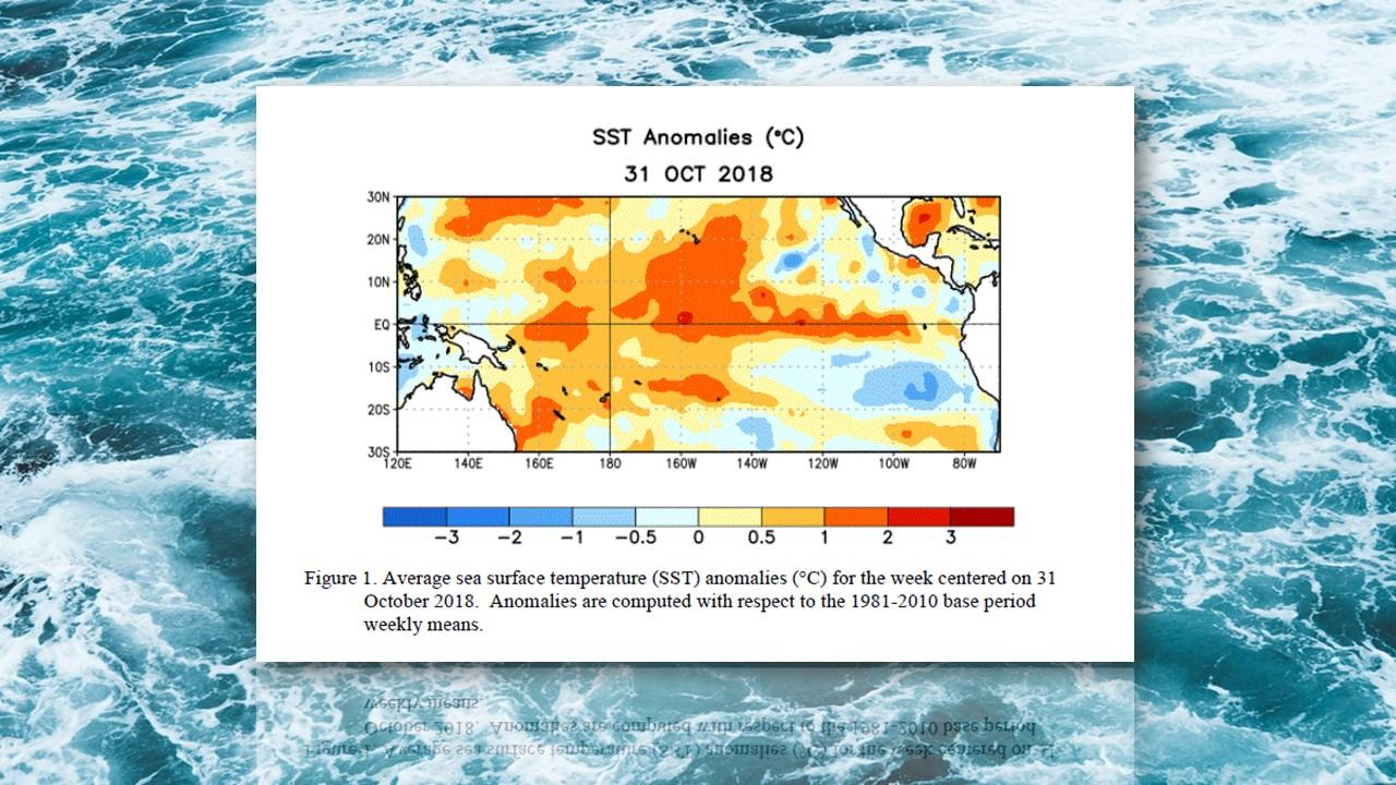 Anomalies de températures à la surface de l'océan [NCEP]