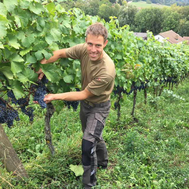 Cédric Besson, vigneron à Uhwiesen (ZH). [RTS - Céline Fontannaz]