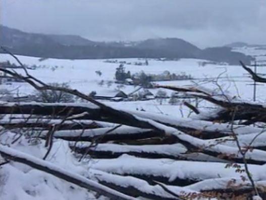 Tempête Lothar [RTS]