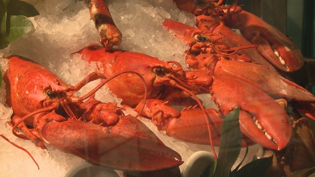 Des homards dans la vitrine d'un restaurant à Genève. [RTS - DR]