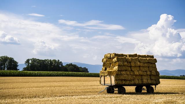 Des bottes de paille entreposées sur une remorque dans un champ du canton de Vaud. [Keystone - Jean-Christophe Bott]